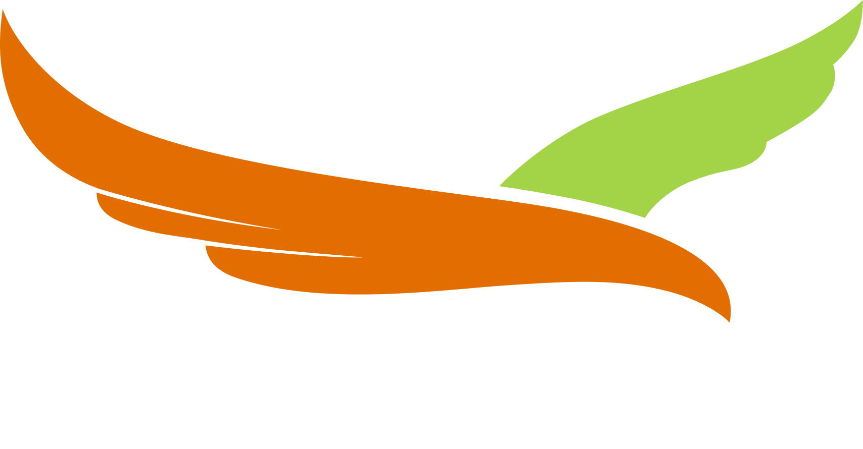 Skyrule Travels